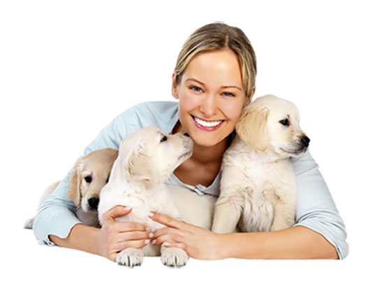 УХОД ЗА СОБАКОЙ